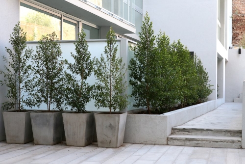 8 holmberg 2410 1000x667